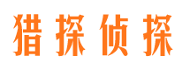 闸北市侦探公司